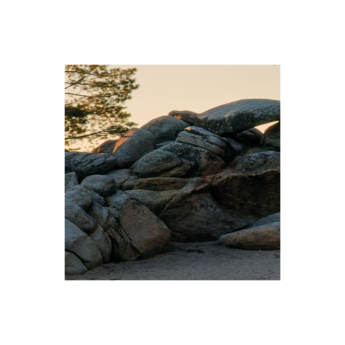 Komar  Vlies Fototapete Final Light 450x280 cm Bild 8