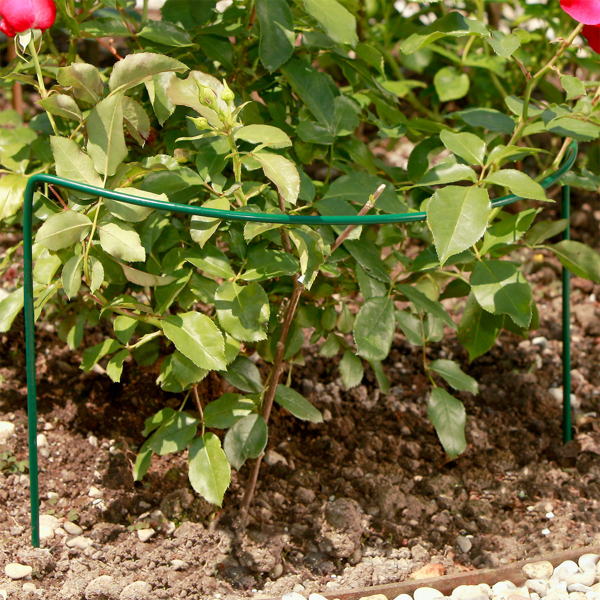 Windhager Staudenstütze 70 x 40 cm Bild 3