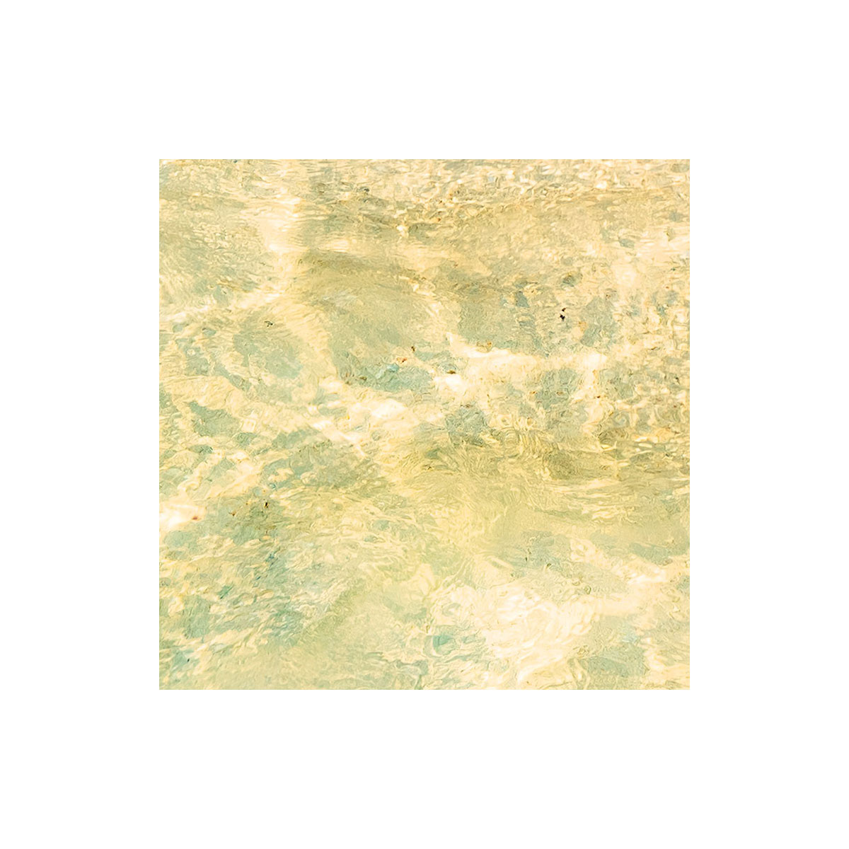 Komar  Vlies Fototapete Ozeanperle 450x280 cm Bild 7