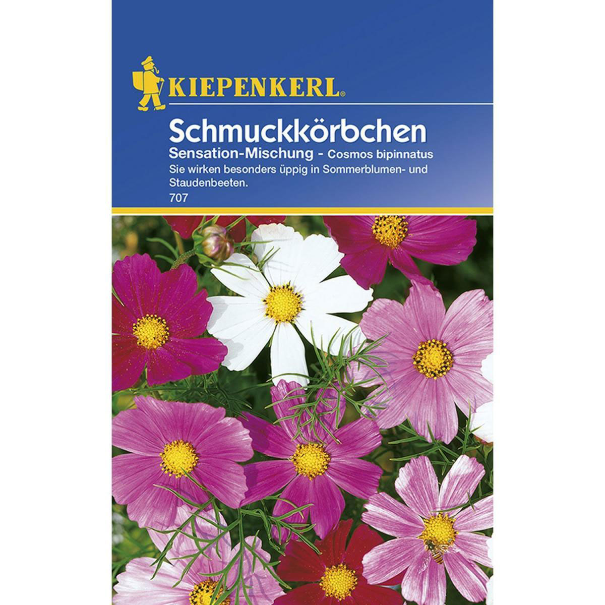 Kiepenkerl Schmuckkörbchen Sensations-Mischung