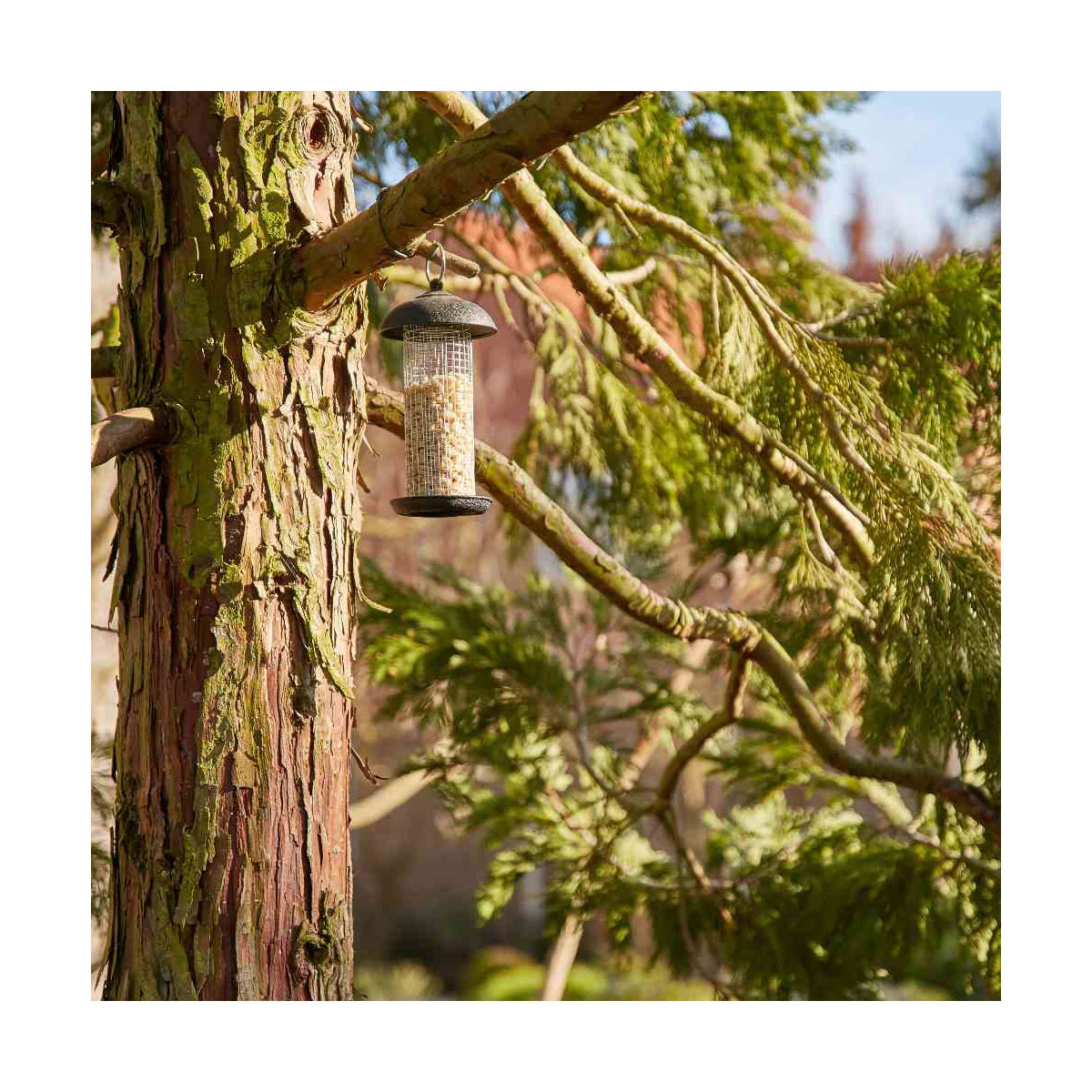 Siena Garden Vogelfuttersäule „Steel Line“ für Nüsse, 20 cm Bild 4