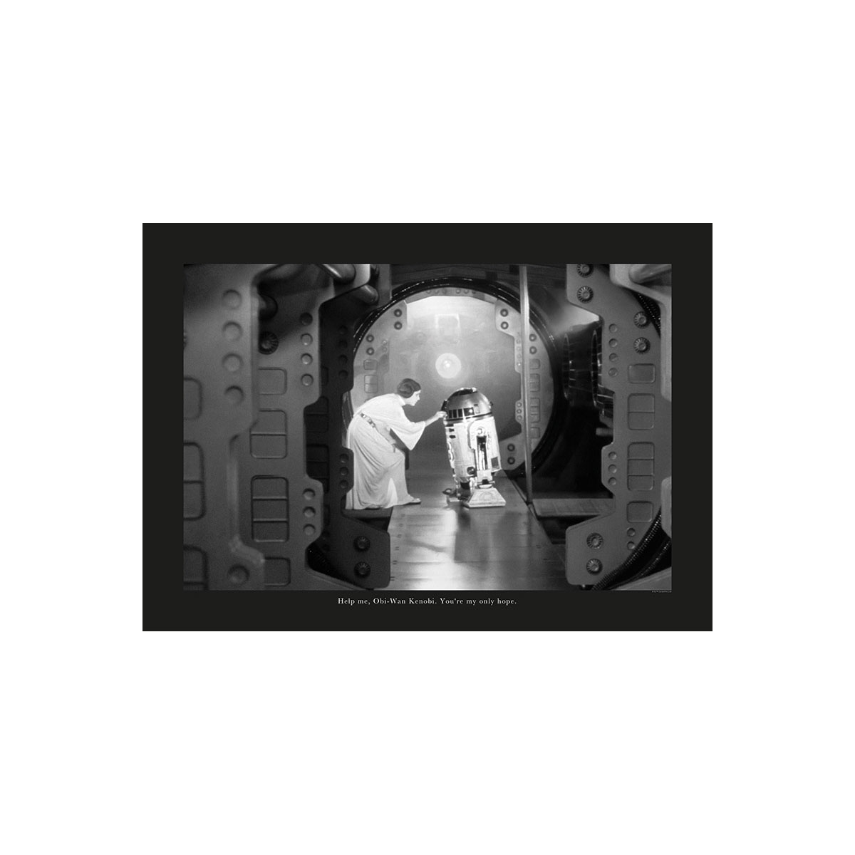 Komar  Wandbild Star Wars Classic Leia R2D2 Quote 70x50 cm Bild 2