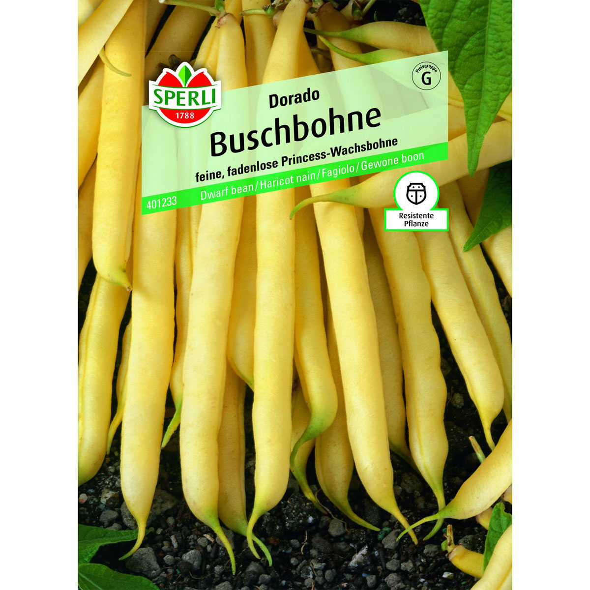 Buschbohne Dorado Bild 1