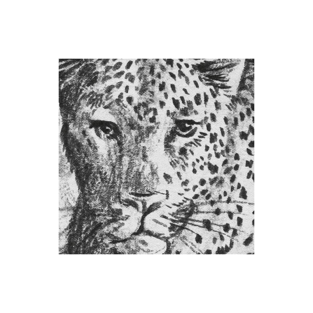 Komar  Vlies Fototapete Léopards 350x250 cm Bild 7