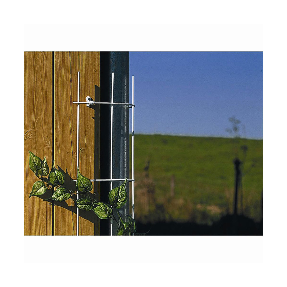 Siena Garden Fallrohrgitter 150 cm braun