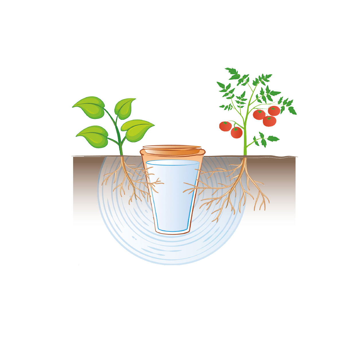 Bewässerungskegel Aquado Bild 4