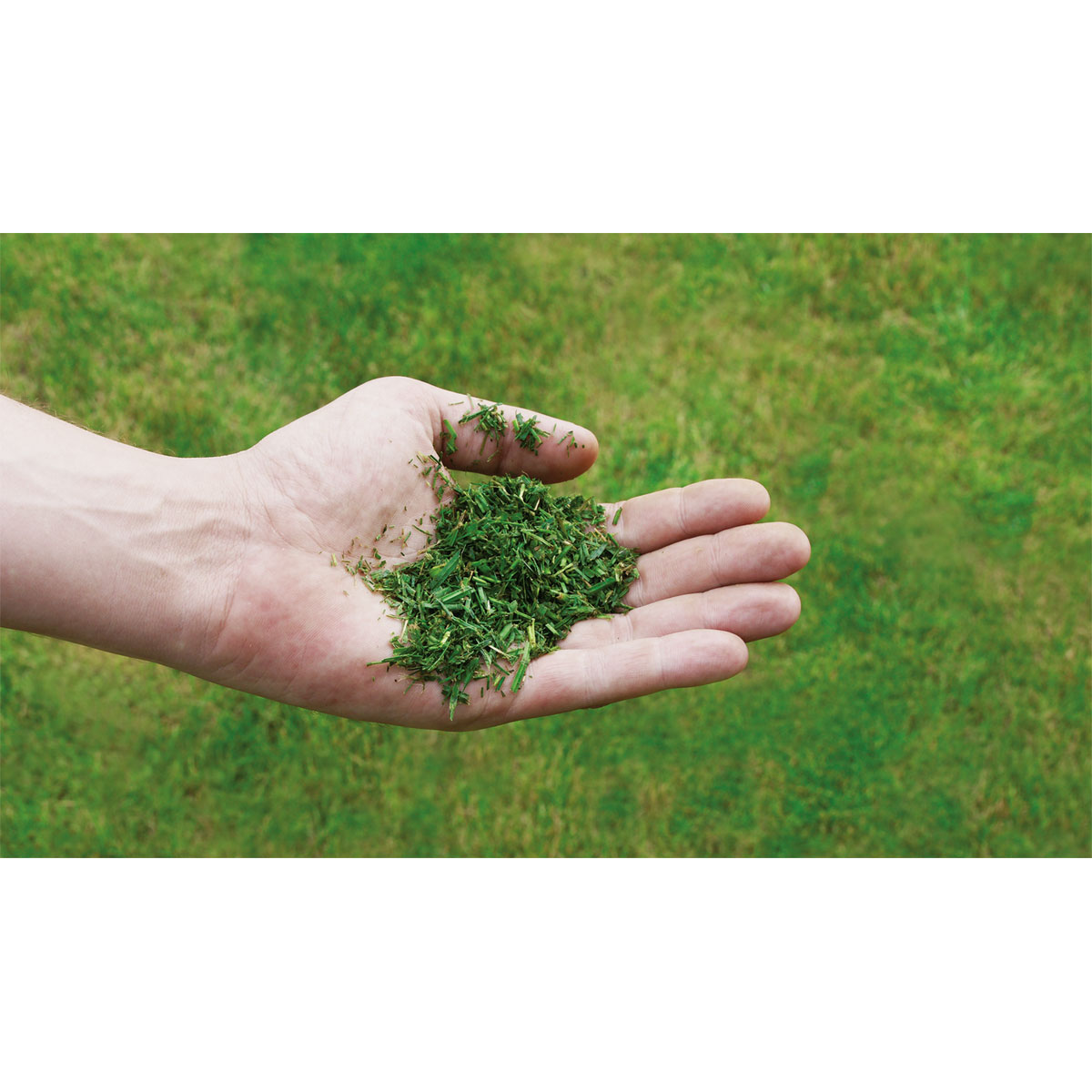 Einhell  Benzin-Rasenmäher GC-PM 56/2 S HW Bild 4