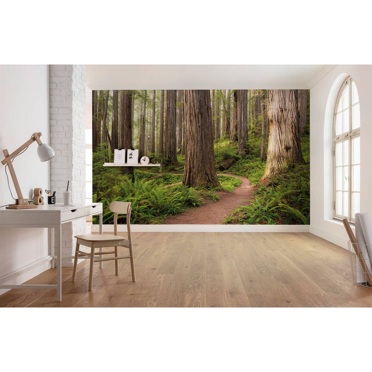 Komar  Vlies Fototapete Redwood Trail 450x280 cm