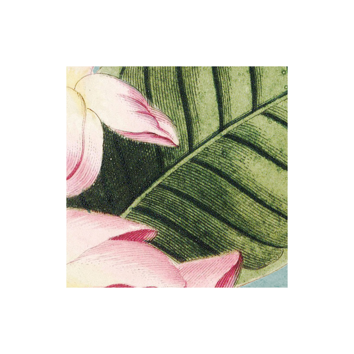 Komar  Vlies Fototapete Birds and Berries 200x250 cm Bild 7