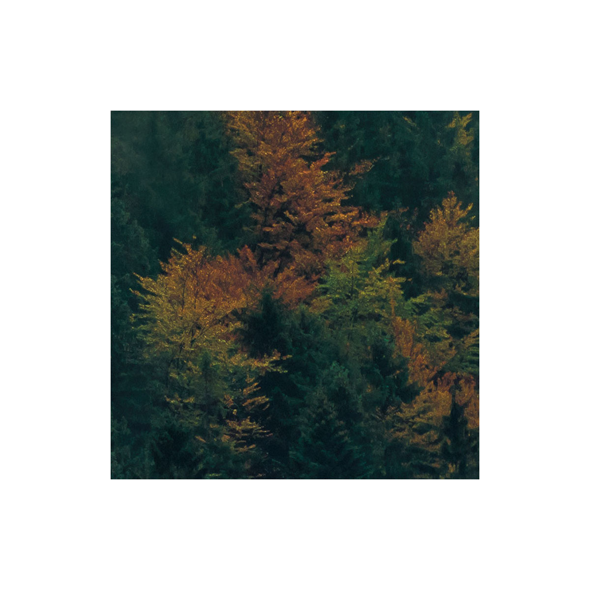 Komar  Vlies Fototapete Tales of the Carpathians 300x200 cm Bild 7