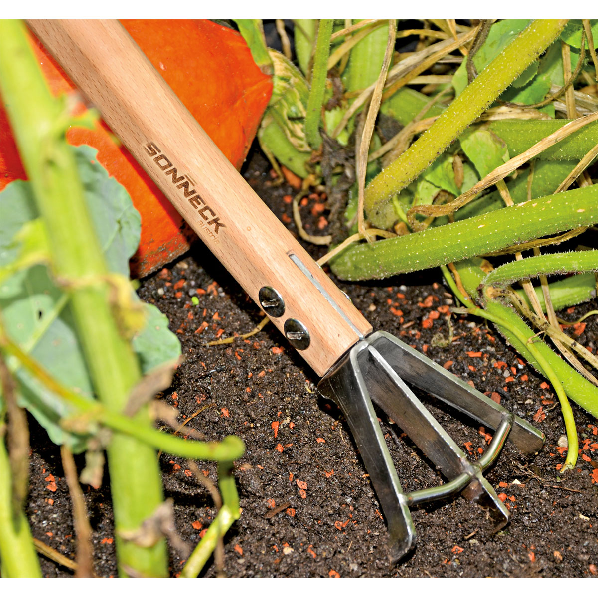 Sonneck Hochbeet-Jätekralle Natura Pro Bild 3