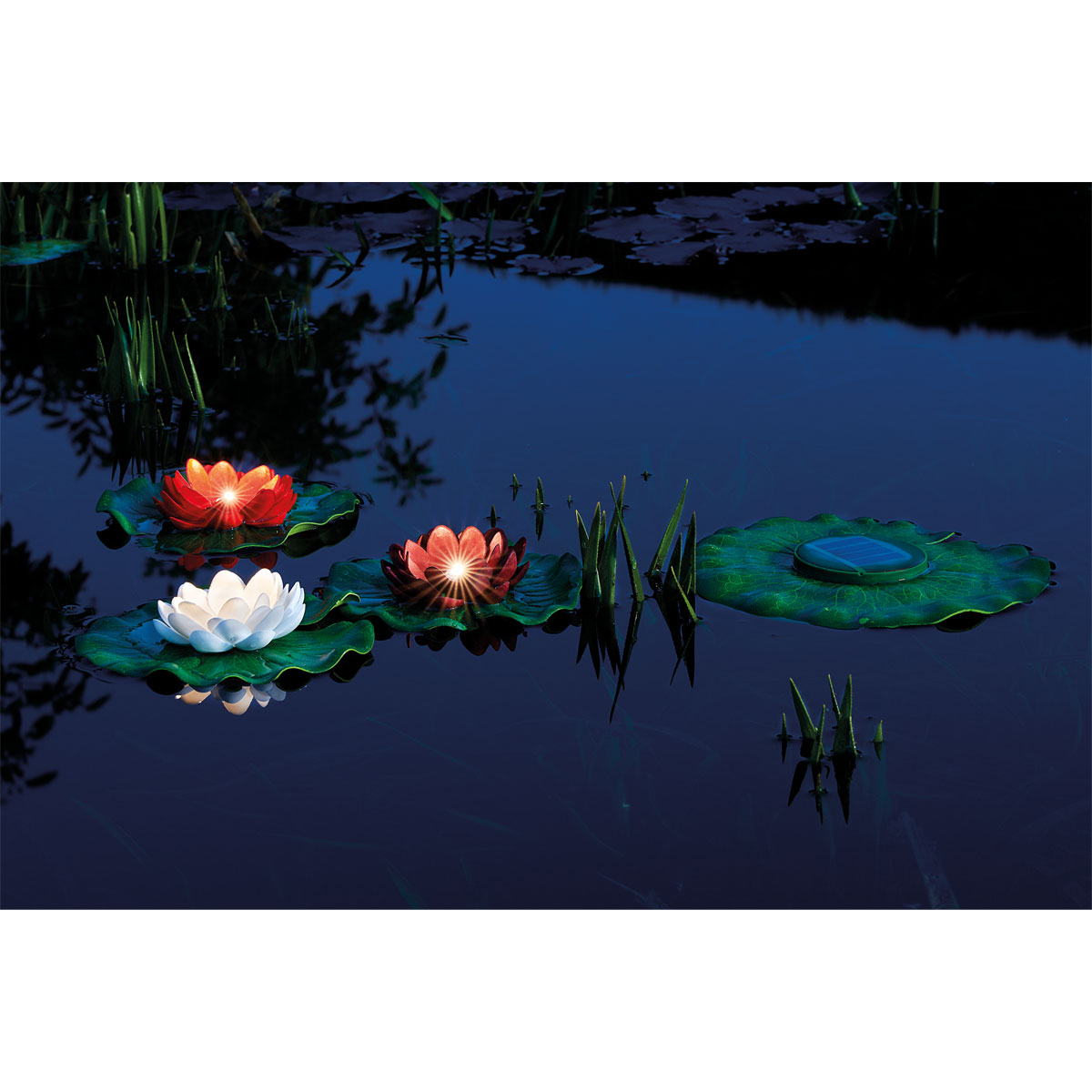 Oase Pontec LED-Set PondoSolar Lily LED Set 3 Bild 2