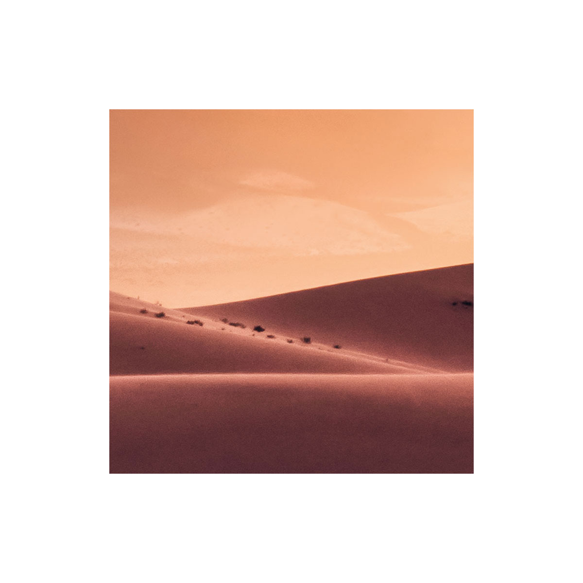 Komar  Vlies Fototapete God Rays 200x250 cm Bild 7