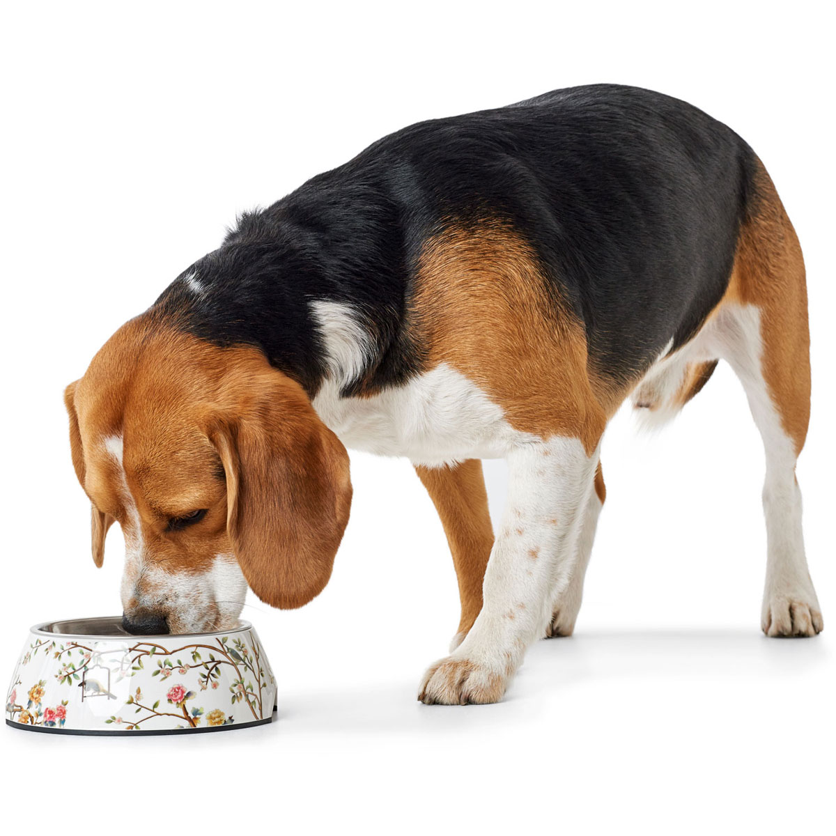 Hunter  Melamin-Napf Mogami we/multicolor 700ml Bild 4