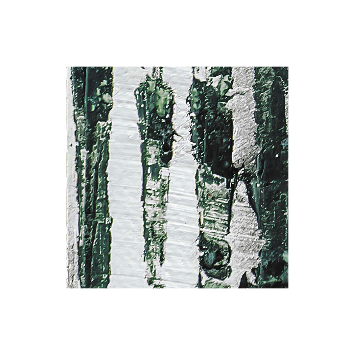 Komar  Vlies Fototapete Fringe Upswept 500x280 cm Bild 5