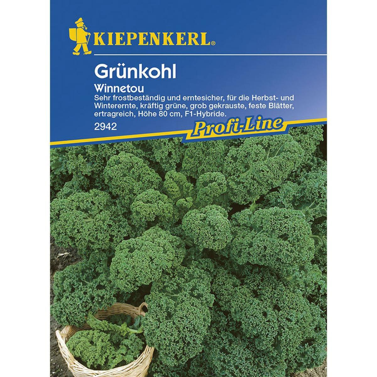 Kiepenkerl Grünkohl Winnetou F1 Profi-Line