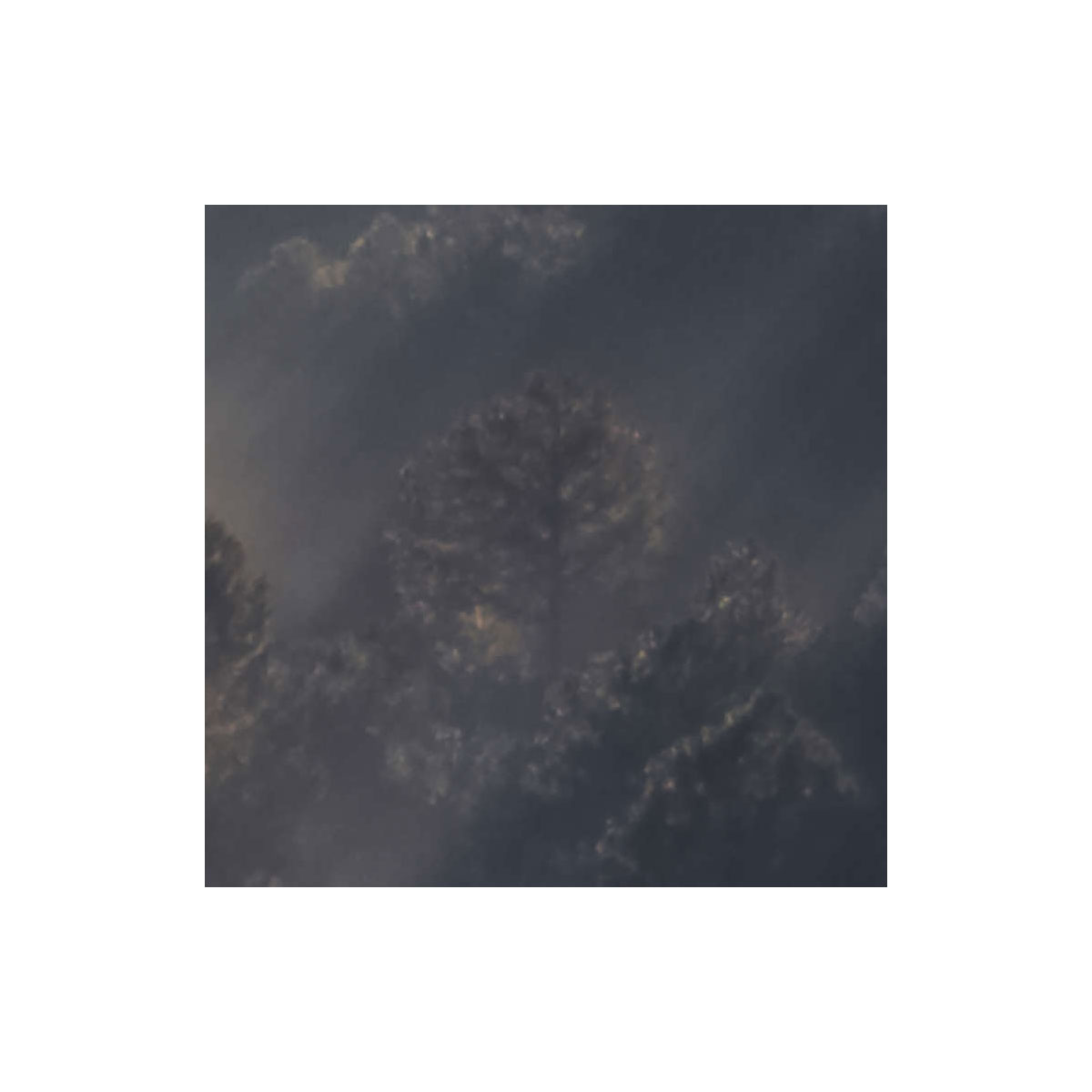 Komar  Vlies Fototapete Rays 300x250 cm Bild 7