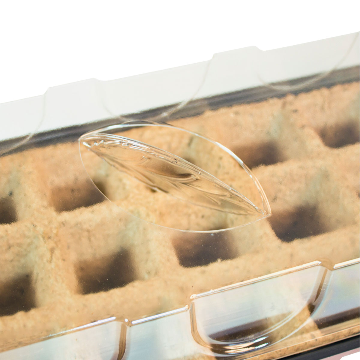 Windhager  Haube für Saatschalen 38x24x13 cm Bild 3