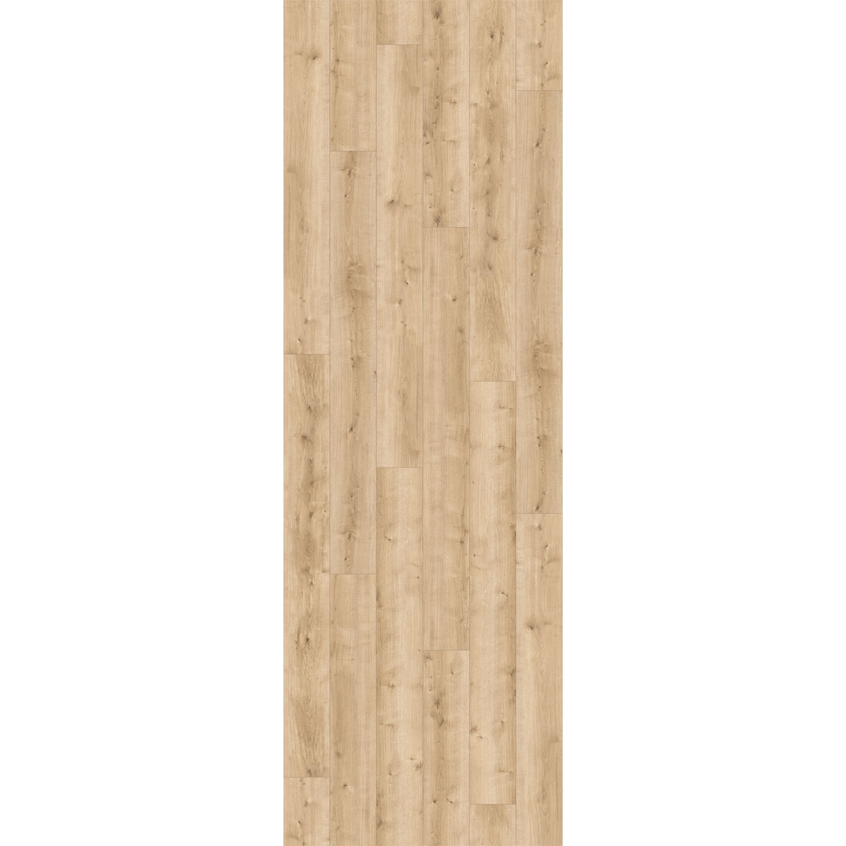 Parador Designboden „Modular one“, Eiche pur hell, Holzstruktur, 23,5x220 cm Bild 2