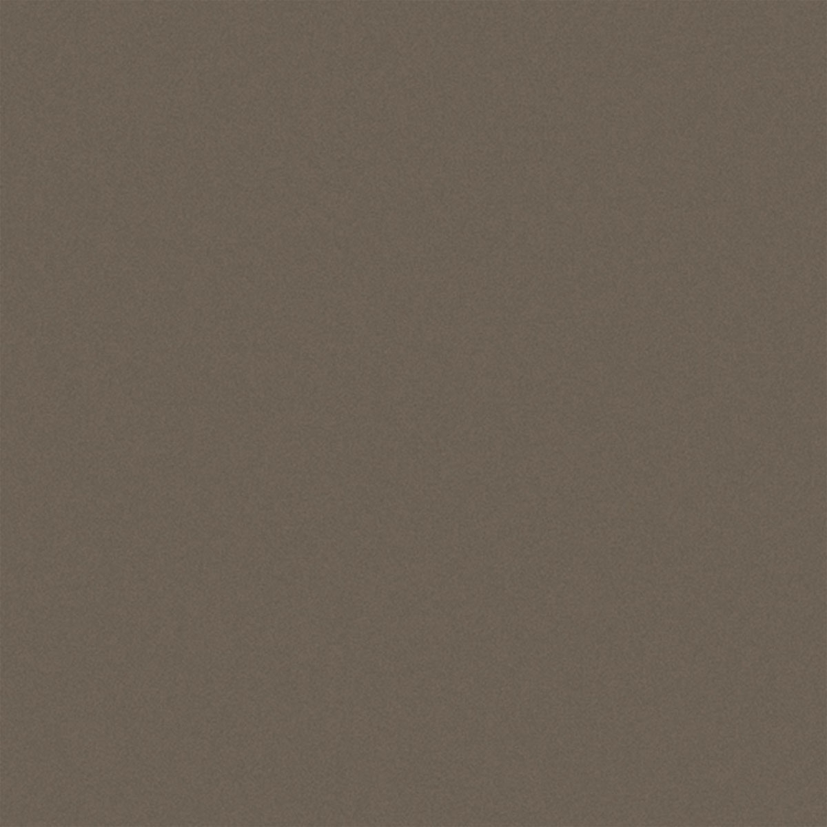 Gardinia Flächenvorhang Stoff Entry 60 x 245 cm braun