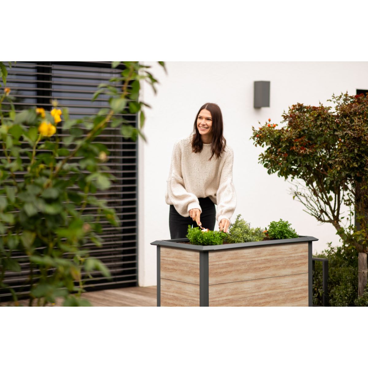 Westmann Hochbeet Primus-Multi M inkl. Schneckenschutz 50x100x77cm Bild 3
