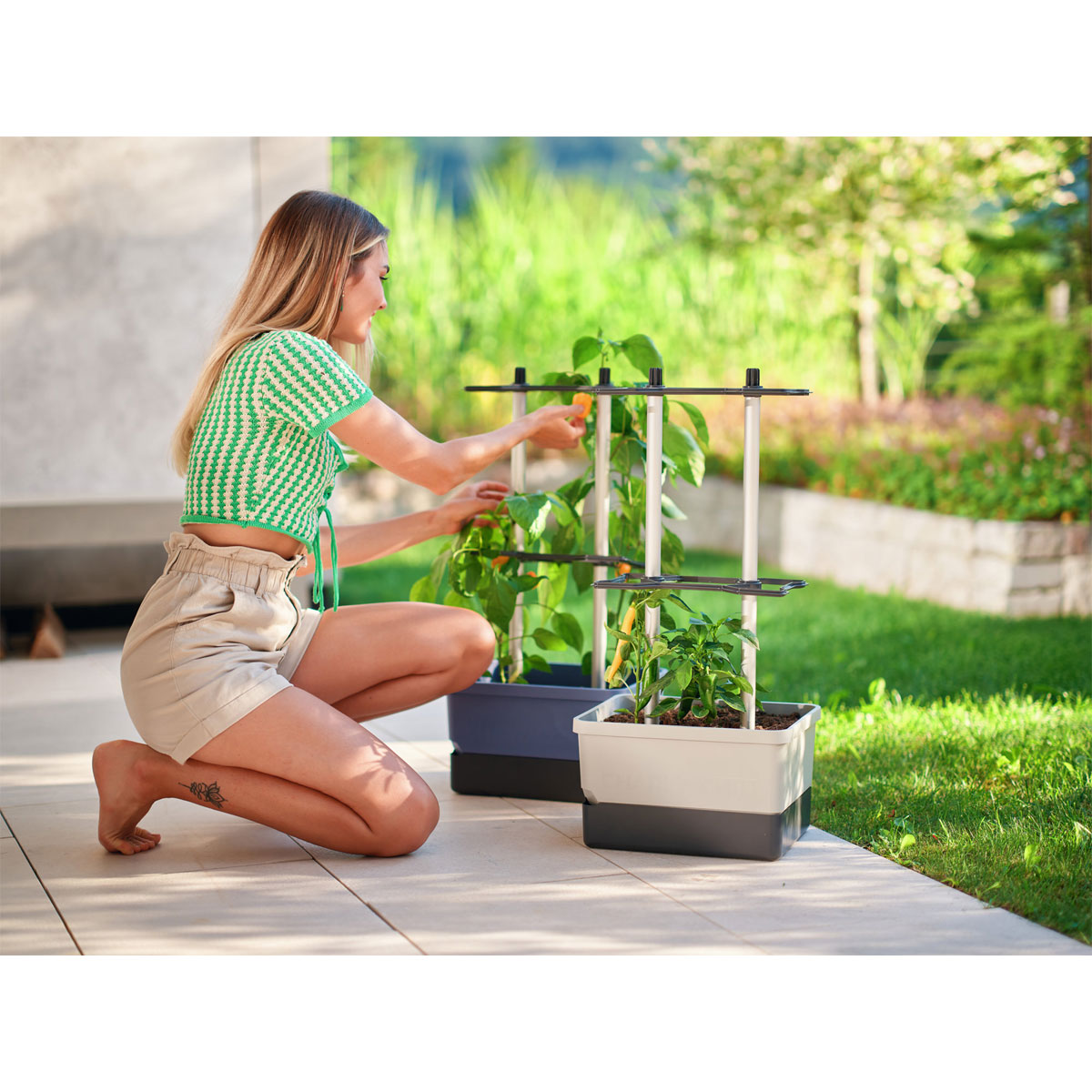 Rankhilfe Charly Chily hellgrau Bild 3