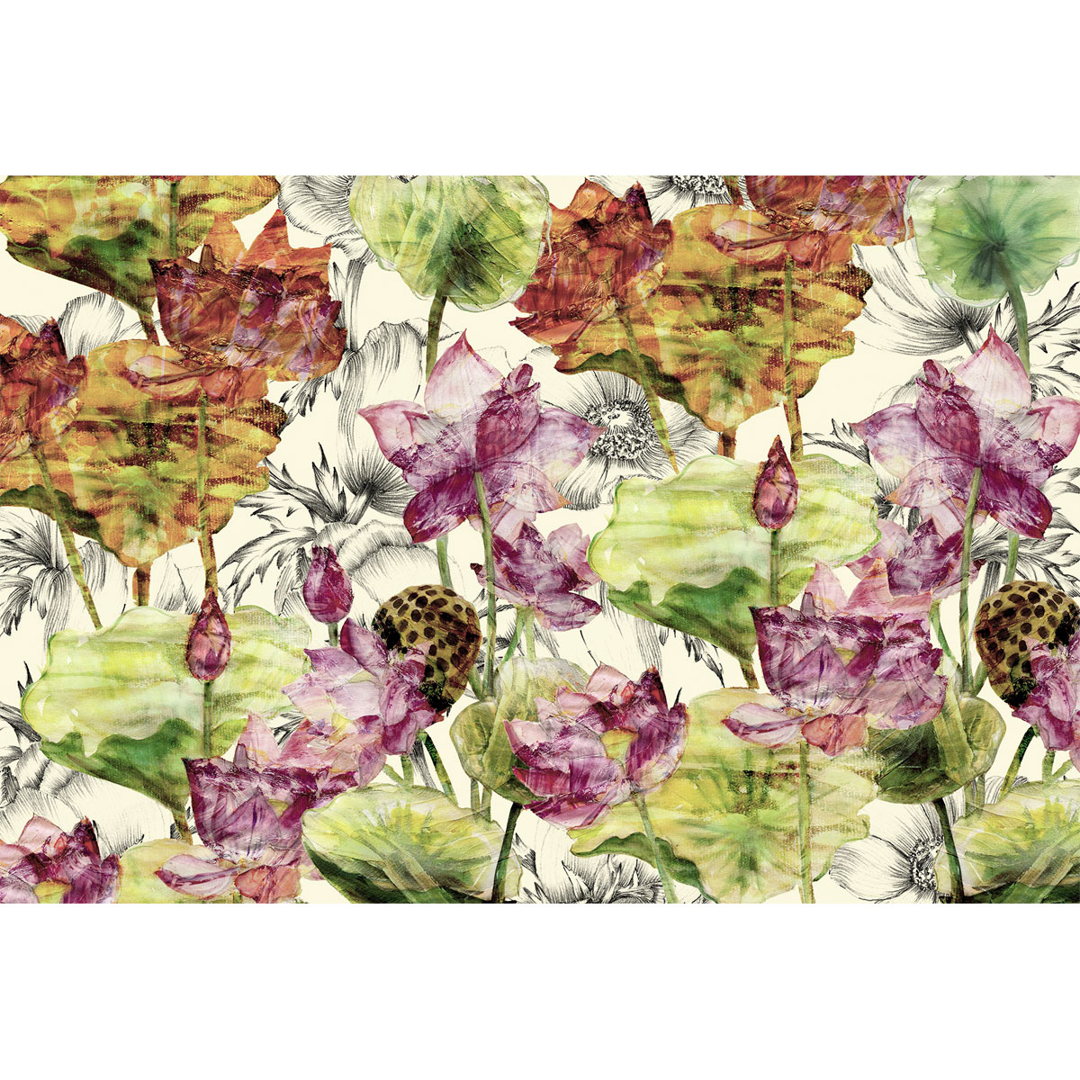 Komar  Vlies Fototapete Lotus 368x248 cm Bild 2