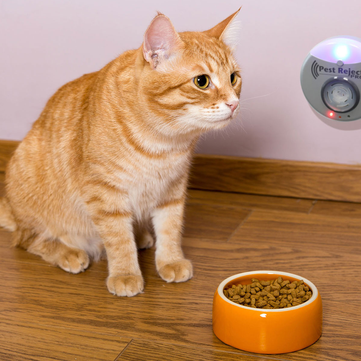 Pest Reject Ultraschall Insektenvertreiber Pro Bild 5