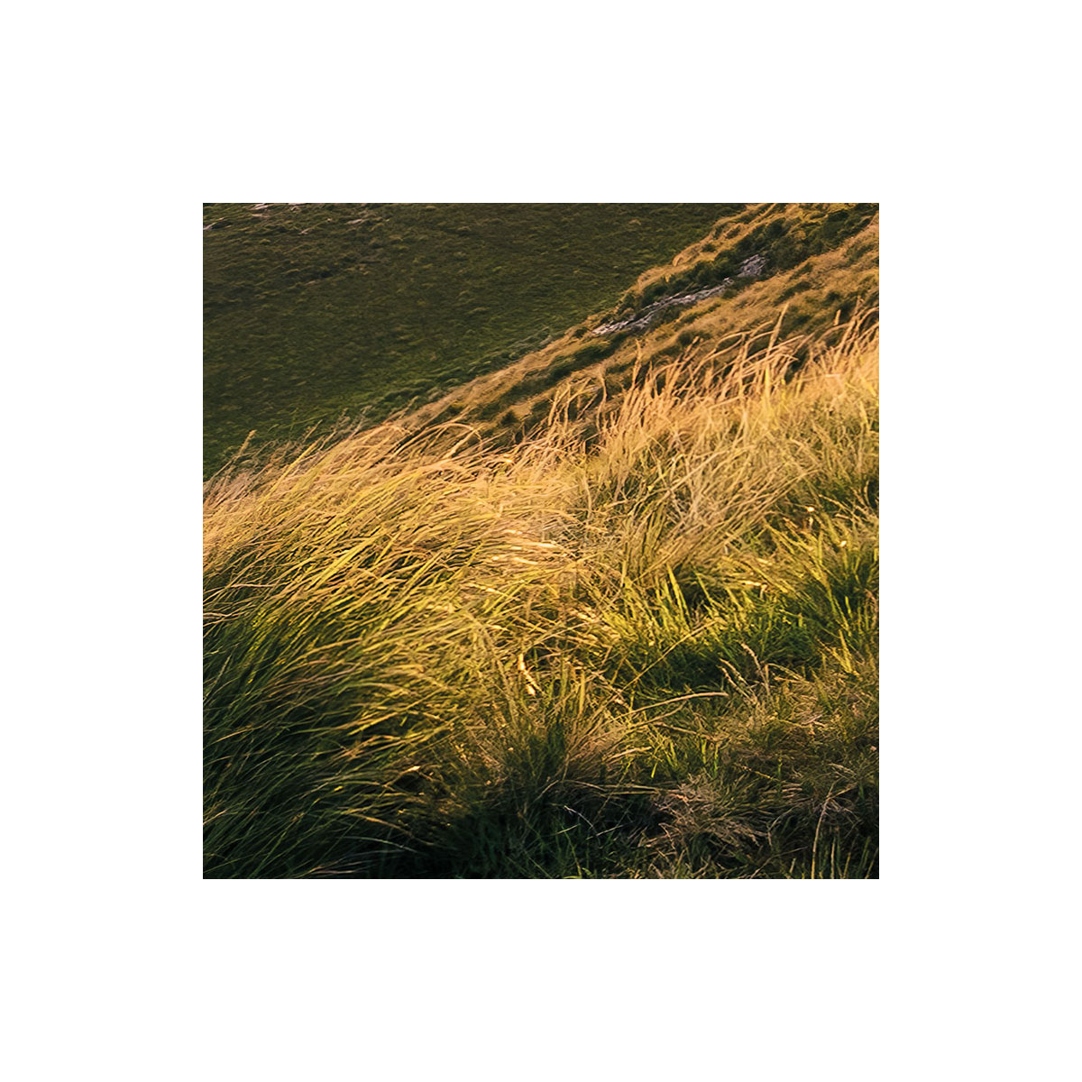 Komar  Vlies Fototapete Abenteuerland 400x280 cm Bild 7