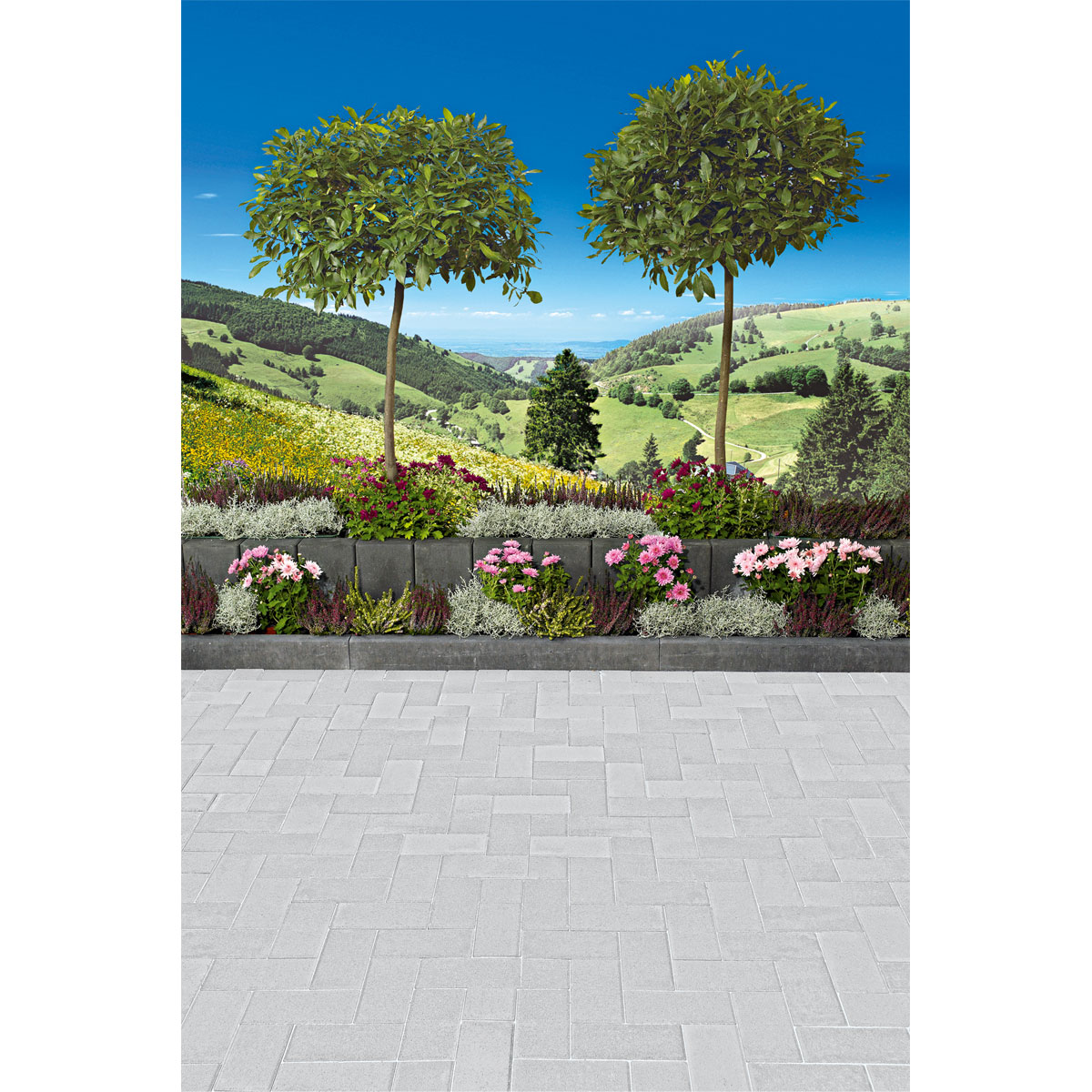 Lusit  Rechteckpflastersteine 20 x 10 x 6 cm grau Bild 4