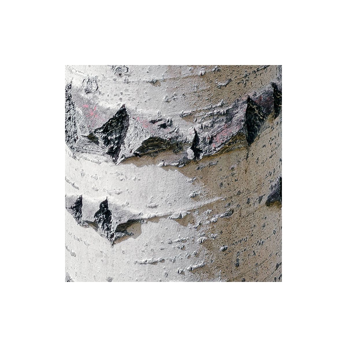 Komar  Vlies Fototapete Colorful Aspenwoods 450x280 cm Bild 5