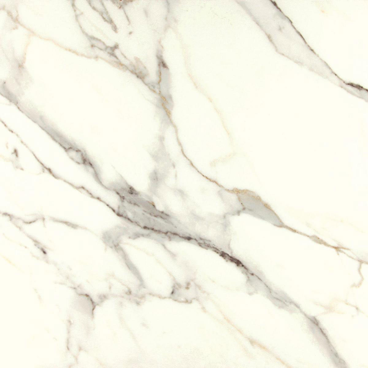 Feinsteinzeug Marble Calacatta 80 x 80 cm AB4 Bild 1