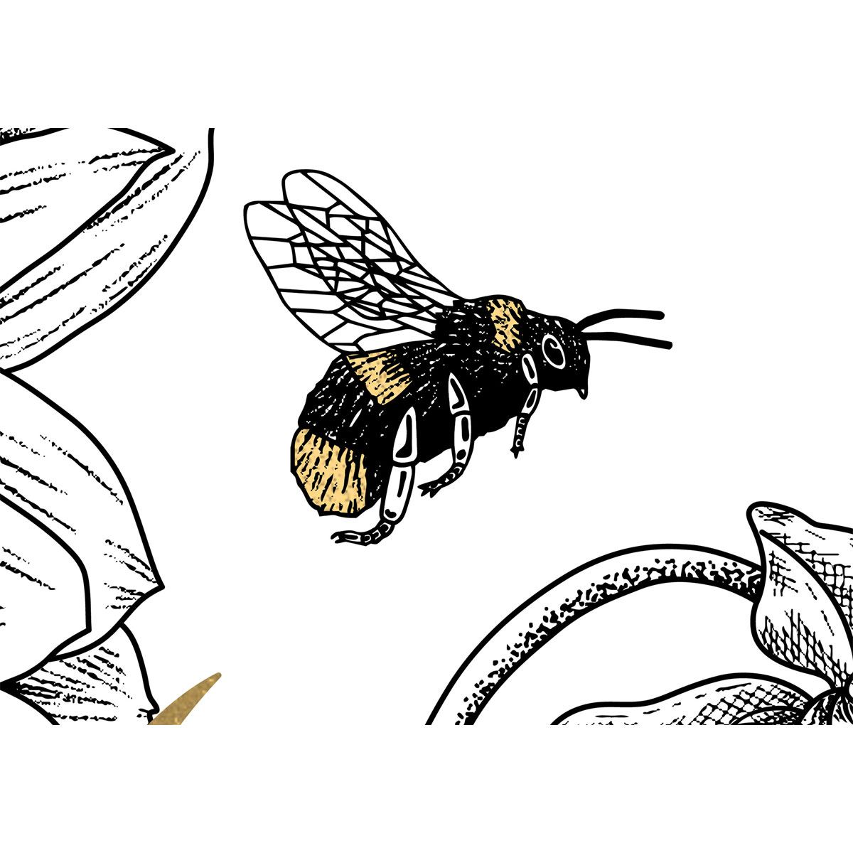 Komar  Vlies Fototapete Bumble Bee 400x280 cm Bild 3