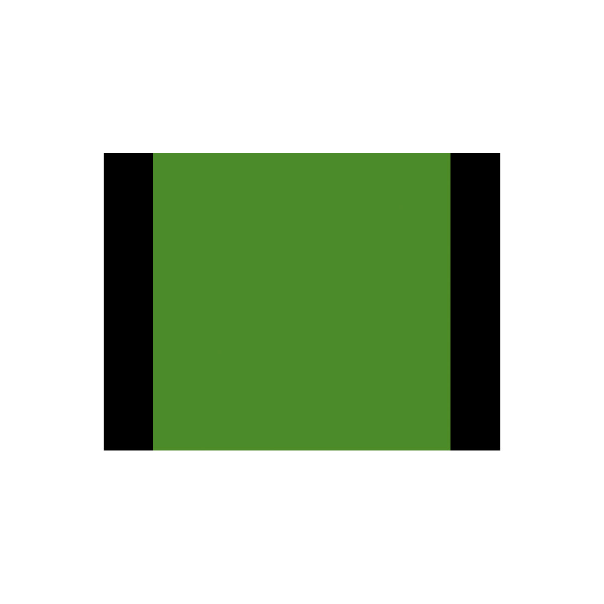 Vincent Voll- und Abtönfarbe grasgrün 0,25 L Bild 2