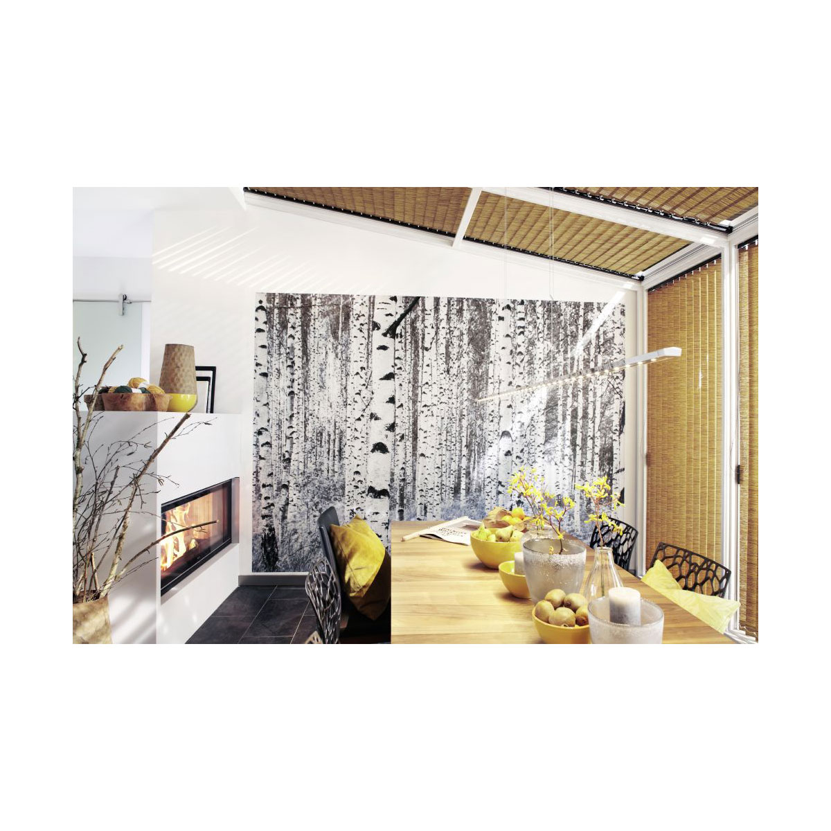 Komar  Vlies Fototapete Woods 400x270 cm