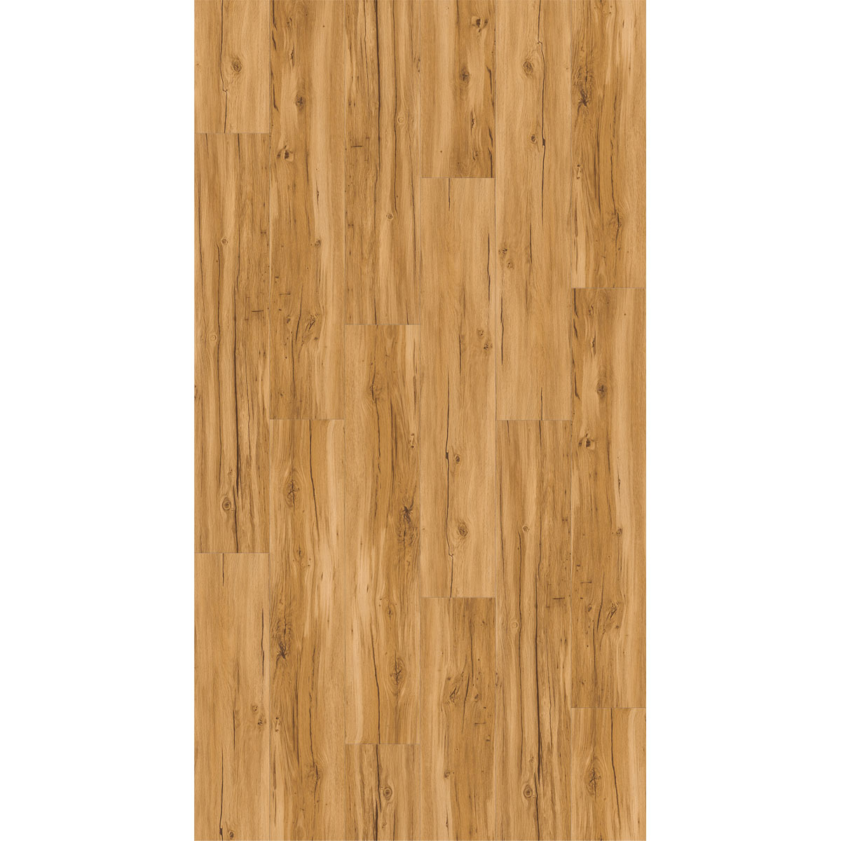 Parador Vinylboden Basic 30 Eiche Memory Natur