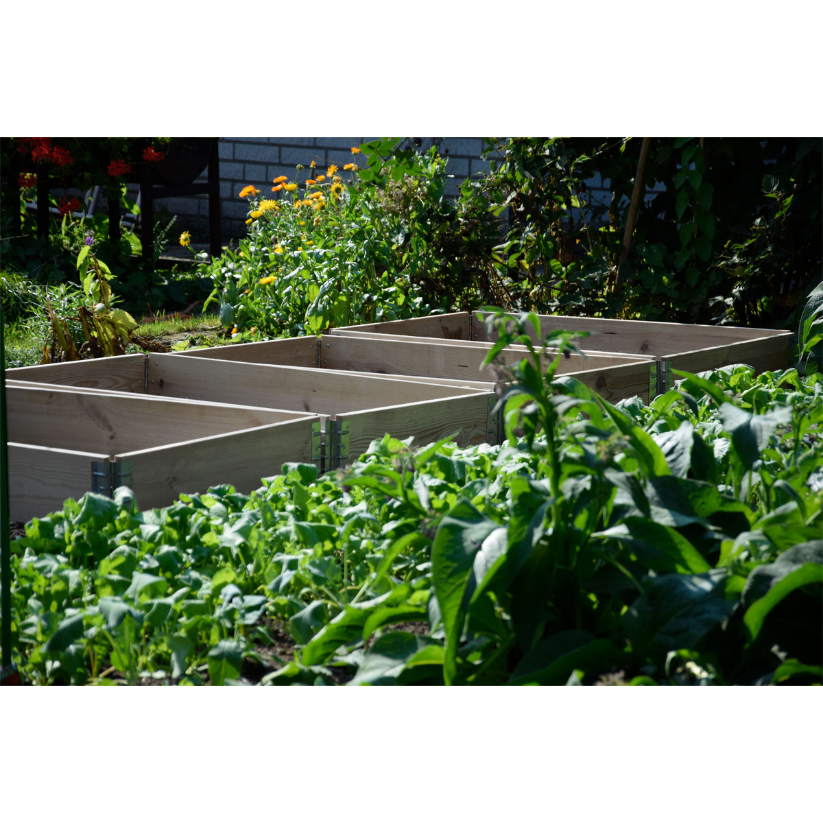 dobar Pflanzbeet-Umrandung 120 x 80 x 20 cm Kiefer grau Bild 5