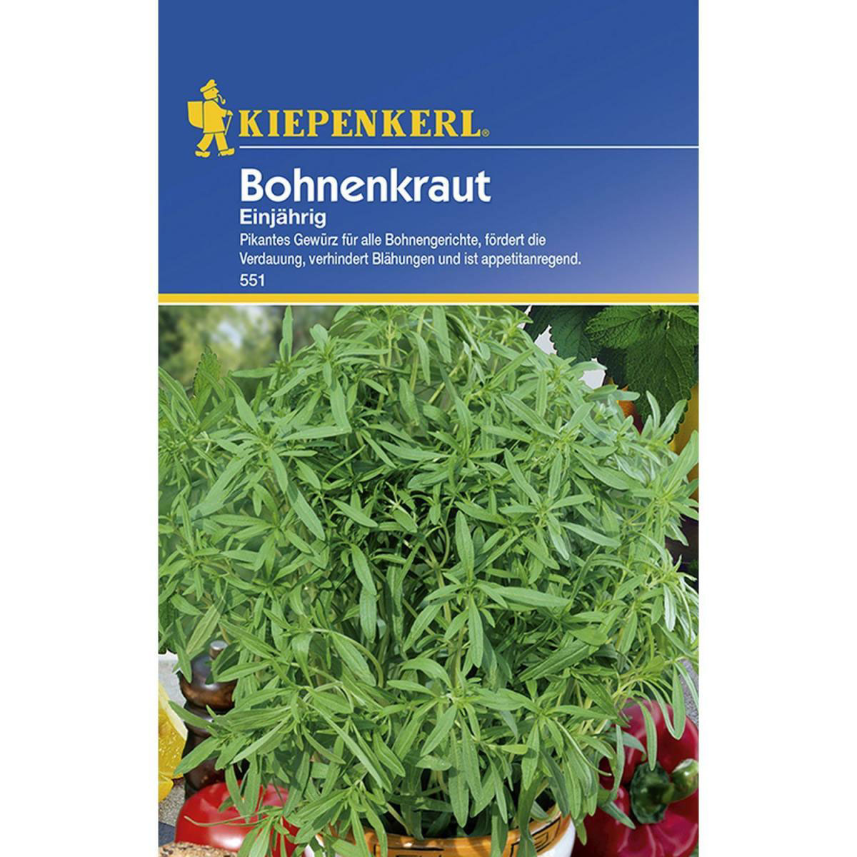 Kiepenkerl Bohnenkraut einjährig Bild 1