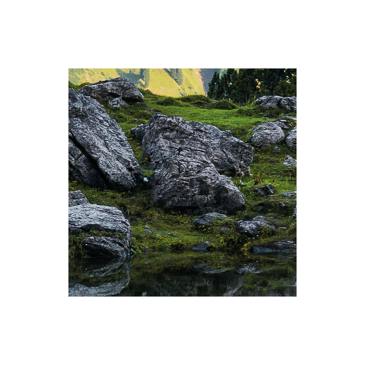 Komar  Vlies Fototapete Allgäu Spiegel 450x280 cm Bild 6