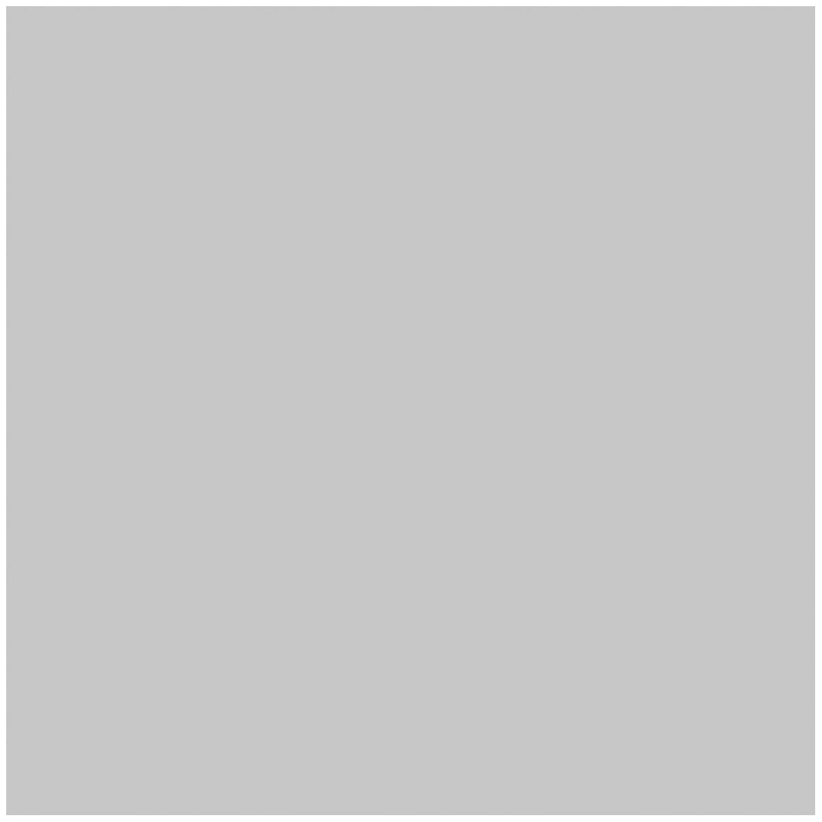 Vincent Garten Charme hellgrau 2,5 L Bild 2