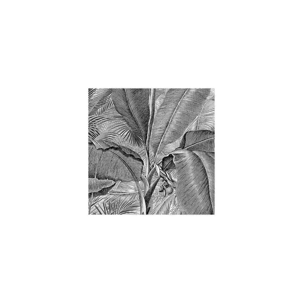 Komar  Vlies Fototapete Roraima 350x280 cm Bild 7