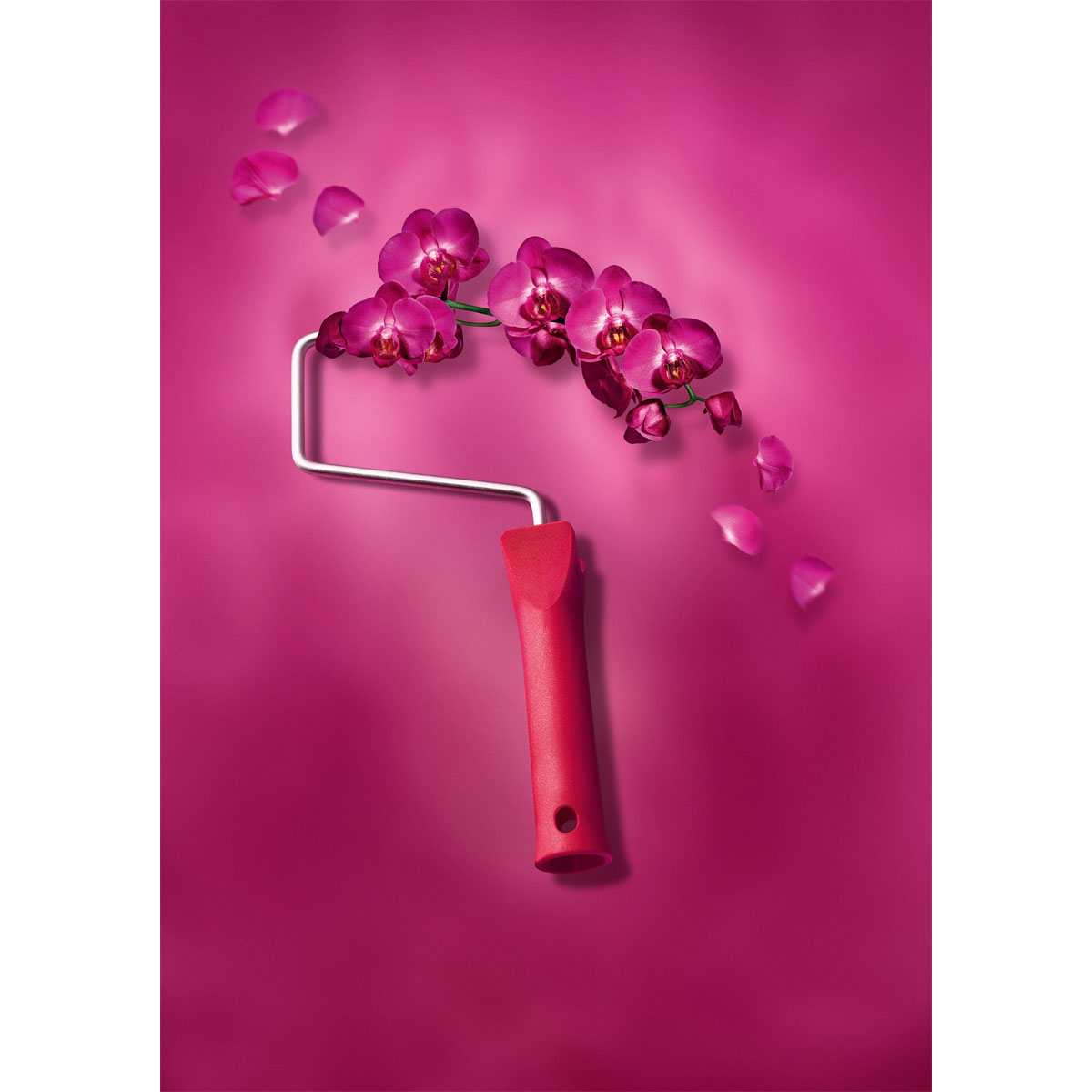 Schöner Wohnen Farbe Trendfarbe Orchidee Matt 1 L Bild 3