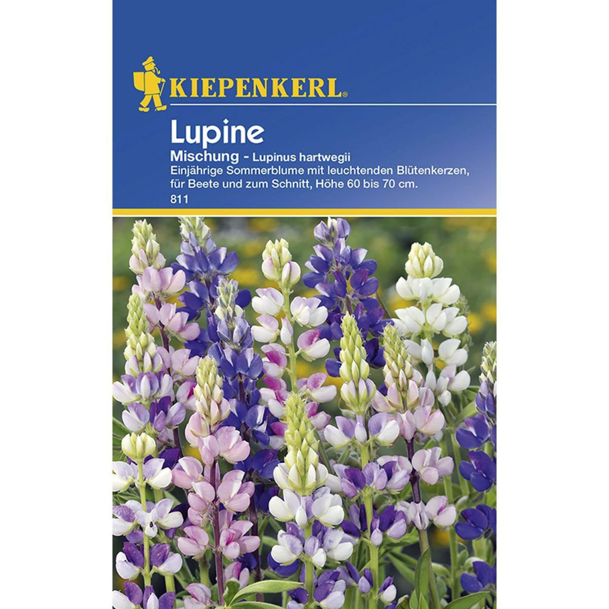 Kiepenkerl Lupinen einjährige Mischung