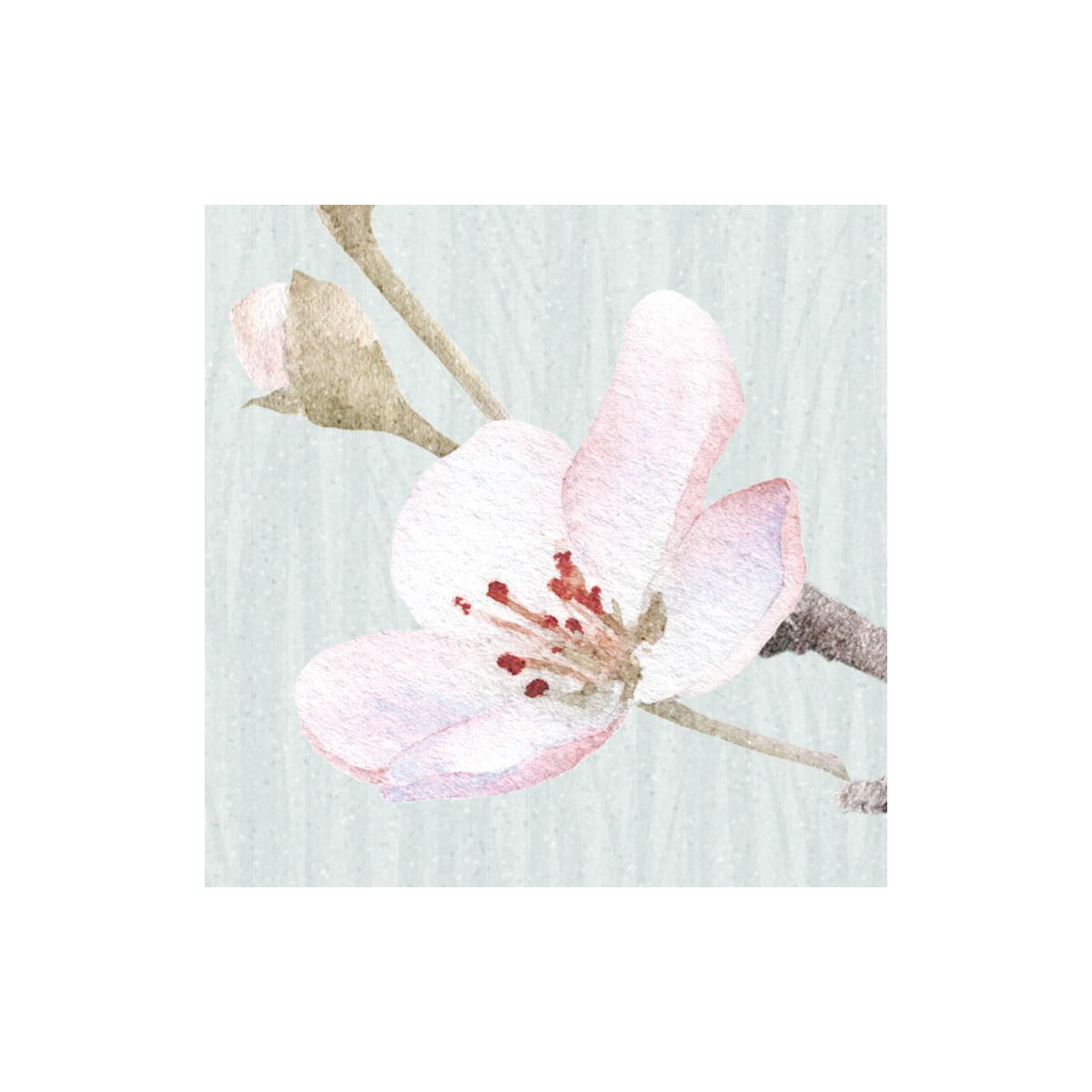 Komar  Vlies Fototapete Apple Bloom 250x250 cm Bild 5