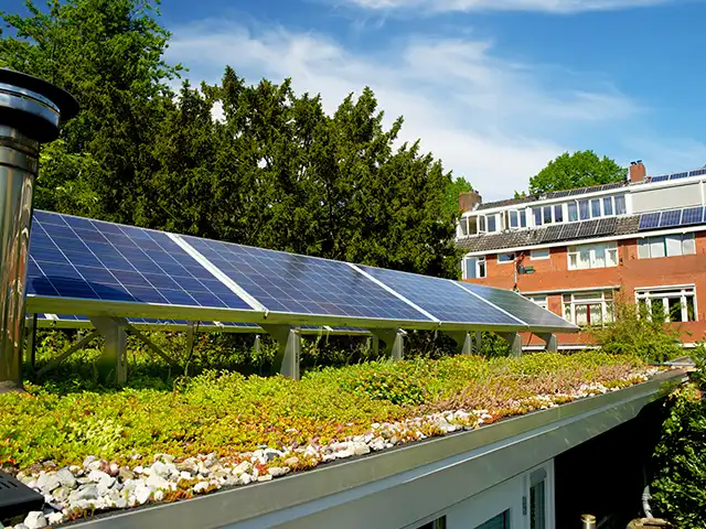 Auf einem begrünten Dach sind Solarpanele installiert, umgeben von Bäumen und einem Backsteingebäude.