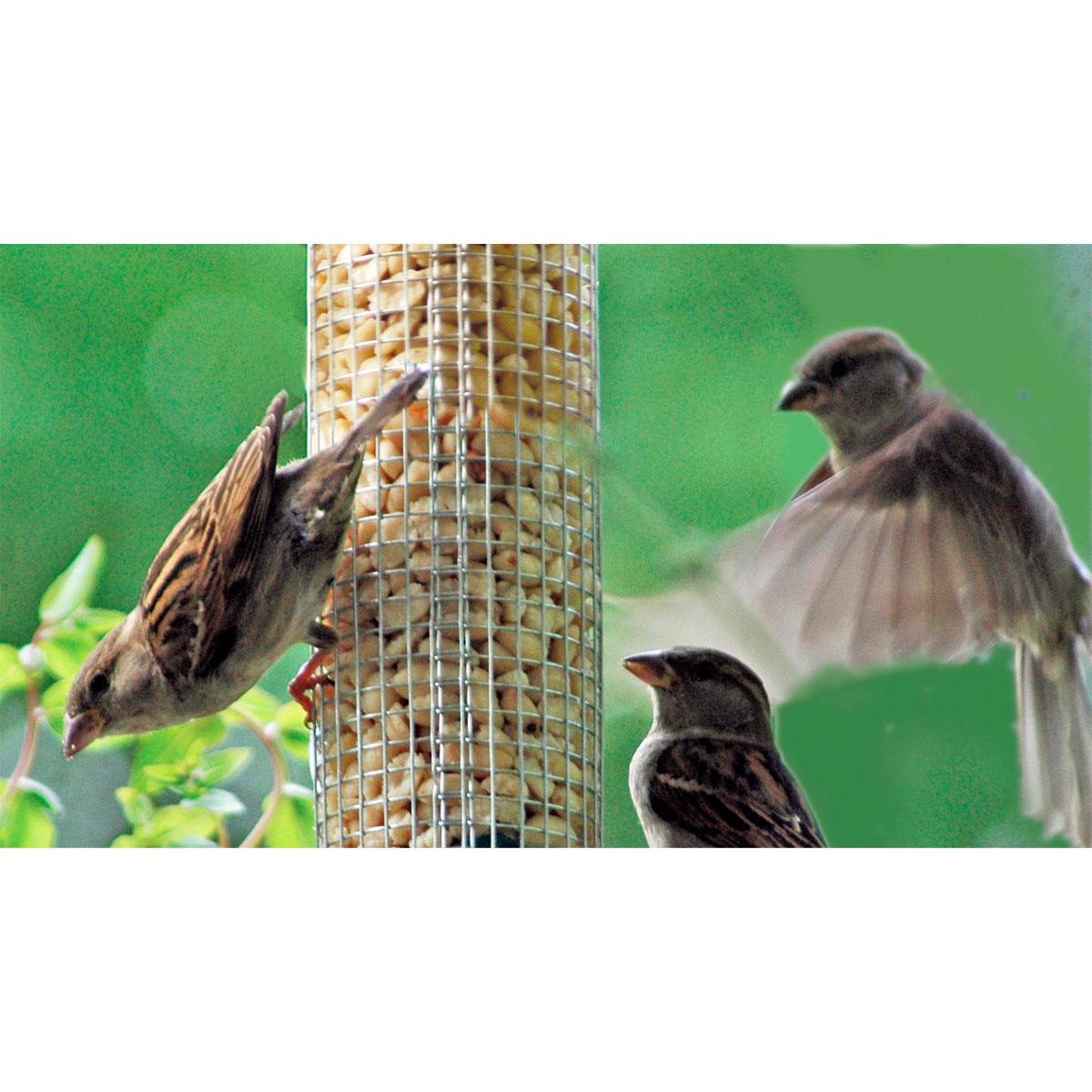 Futterspender 9,5 x 9,5 x 39 cm Metall Silber Bild 2