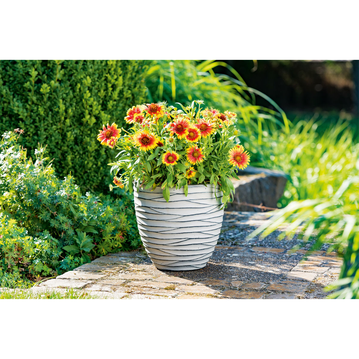 Haveson Pflanzgefäß Big Groove rund Durchmesser 54 x 48 cm Light cement Bild 3