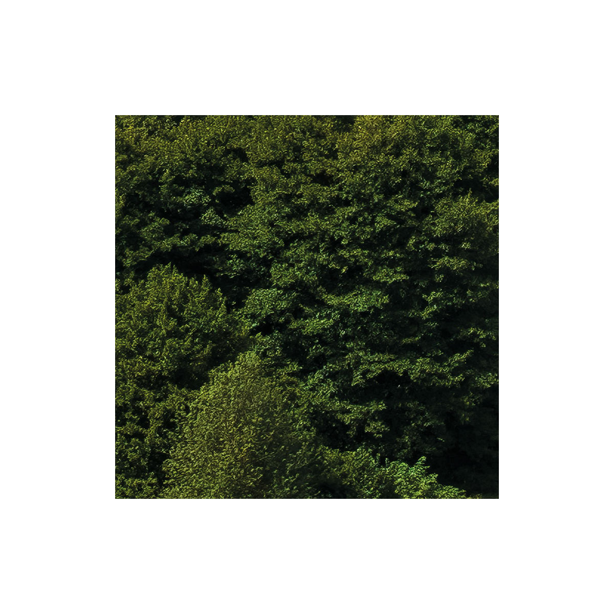 Komar  Vlies Fototapete Bayrische Idylle 350x280 cm Bild 7