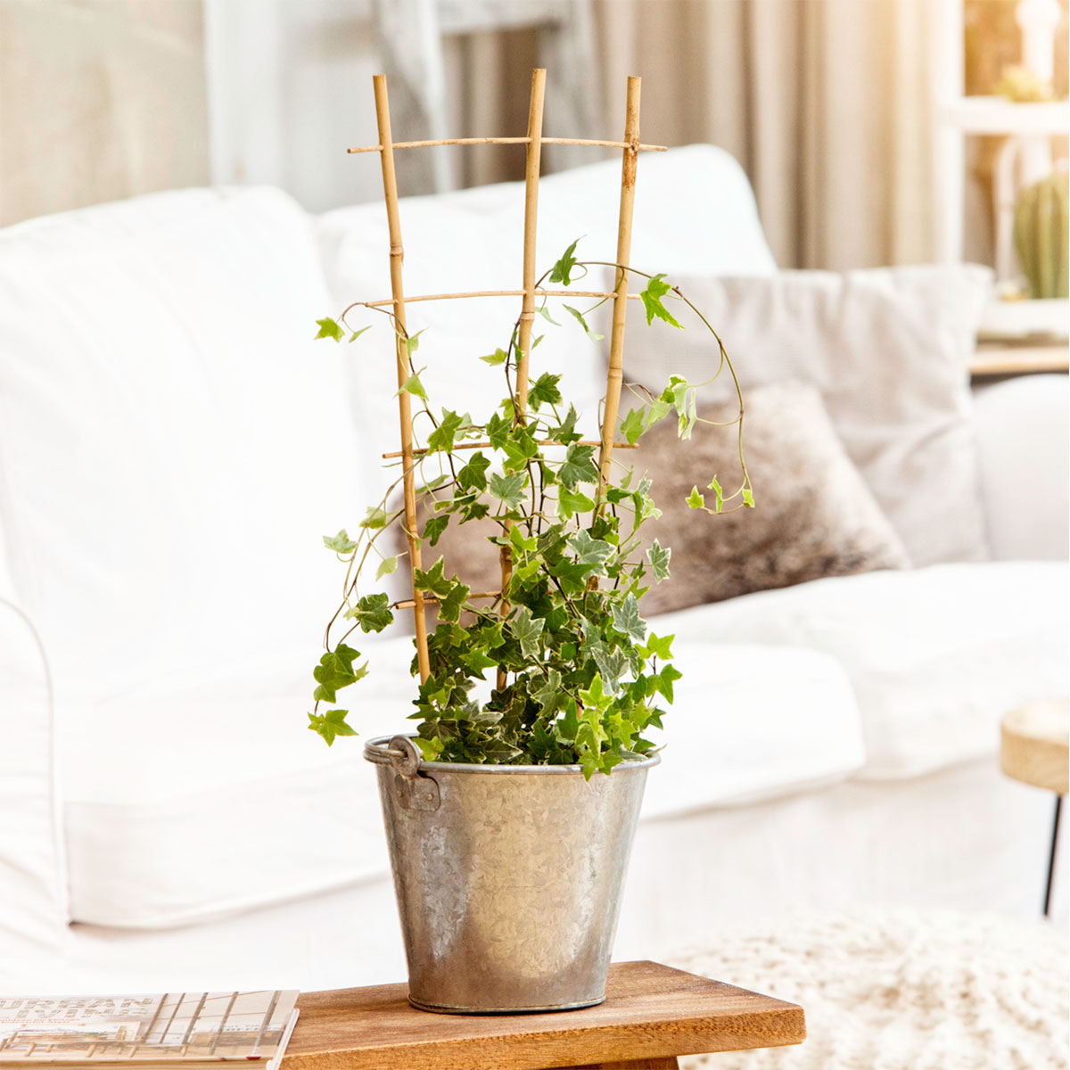 Windhager  Blumenstütze 60x30 cm Bambus Bild 1