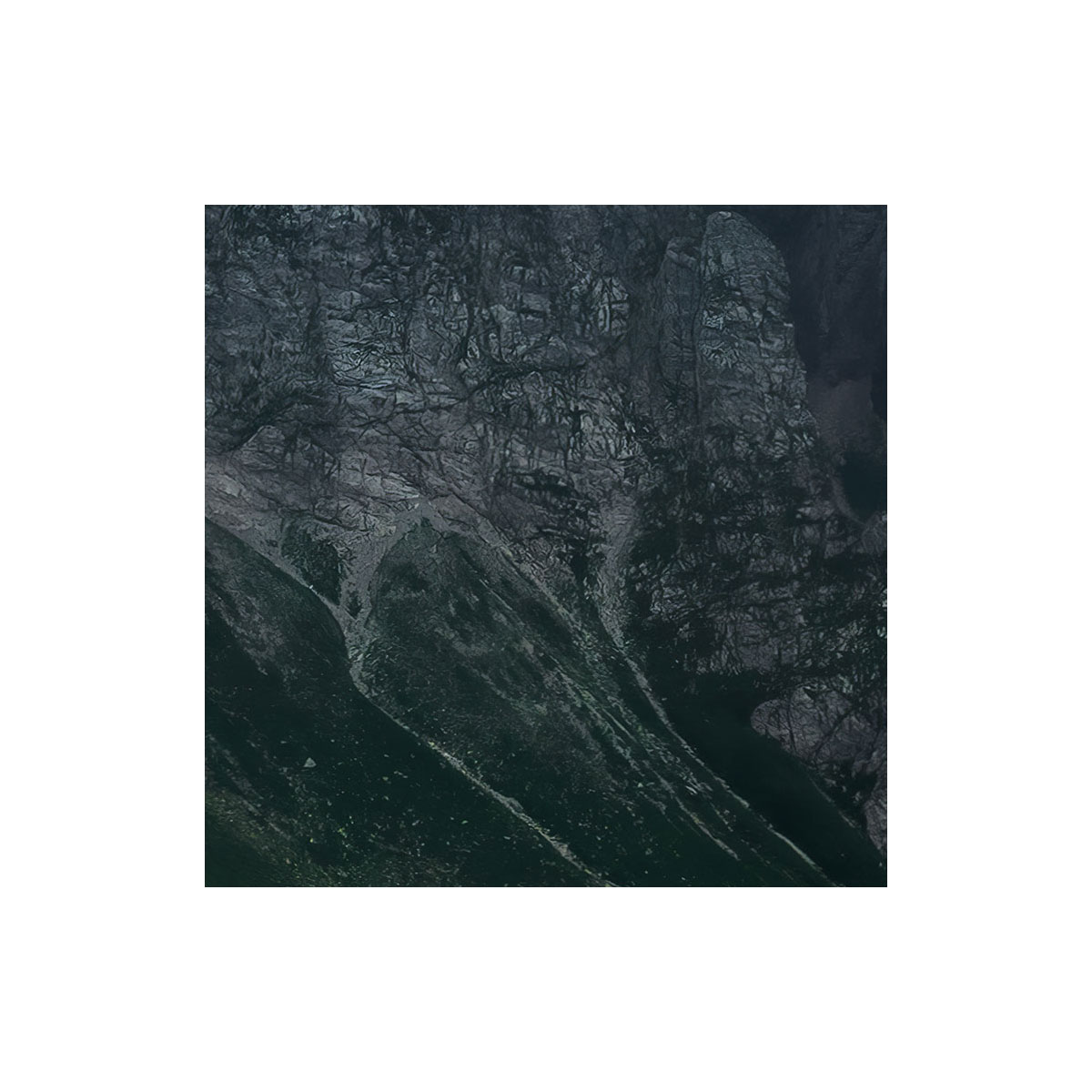 Komar  Vlies Fototapete The Green Queen 450x280 cm Bild 6